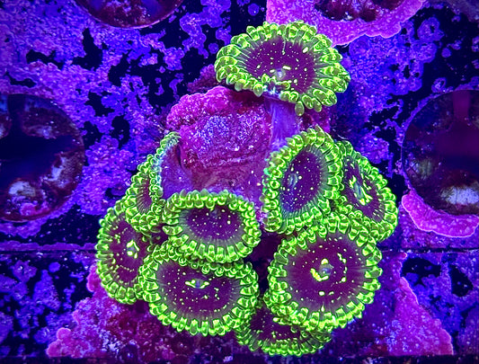 Exospheres