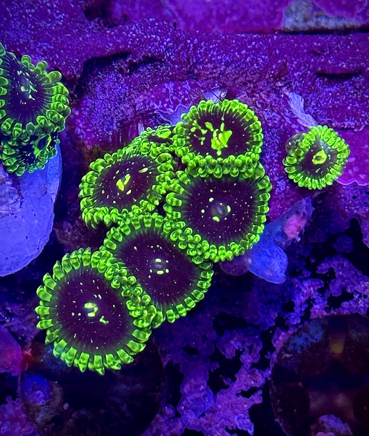 Exospheres